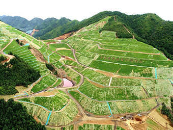 國內首部礦山生態(tài)修復法規出臺!下月起實(shí)施!